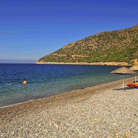 Melinda Pension & Restaurant Mesudiye  Buitenkant foto