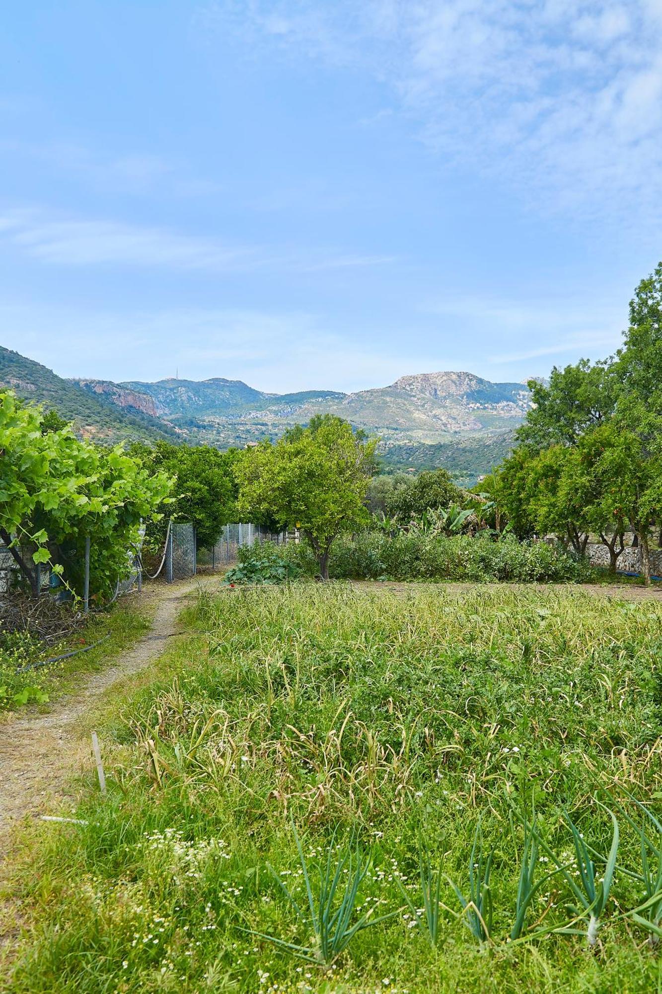 Melinda Pension & Restaurant Mesudiye  Buitenkant foto
